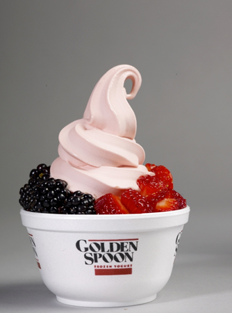 Golden Spoon Frozen Yogurt Franchise Opportunity